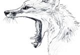 Wolf Drawing Color Easy Pin by Kalucharan On Kalucharan Pinterest E E