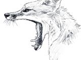 Wolf Drawing Color Easy Pin by Kalucharan On Kalucharan Pinterest E E