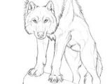 Wolf Drawing Kit 180 Best Wolf Drawings Images Drawing Techniques Drawing