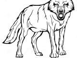 Wolf Drawing Line Art Vector Sketch Of A Wolf Stock Vector Illustration Of Face 96604247