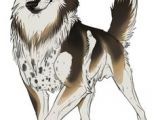 Wolf Drawing Manga 69 Best Anime Wolves Images Drawings Wolves Amazing Drawings