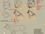 Wolf Howling Drawing Easy Step by Step Guides to Drawing Wolves Fggf Drawings Animal Drawings