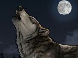 Wolf Howling Drawing Easy Step by Step How to Draw Howling Wolves Howling Wolf Step by Step