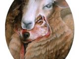 Wolf In Sheep S Clothing Drawing 690 Best Wolf In Sheep S Clothing Images Puppets Wolves Armors