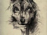 Wolves Ink Drawing 73 Amazing Wolf Tattoo Designs Ink Wolf Tattoos Tattoos Wolf